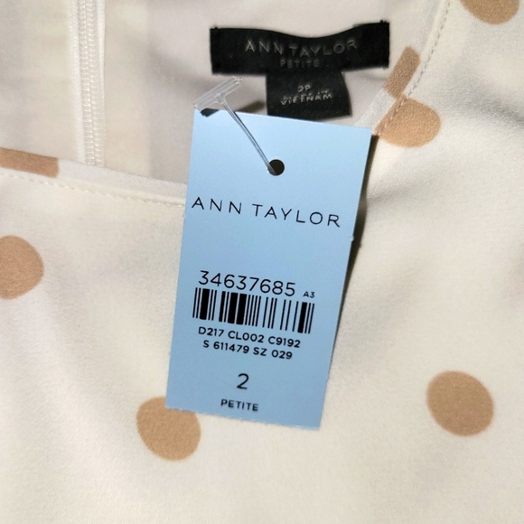 Ann Taylor Petite Dress - Picture 5 of 5